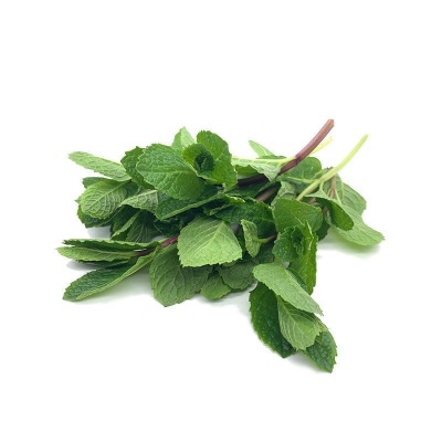 云南新鲜薄荷叶可食用薄荷留兰香泡水奶茶店装饰鸡尾酒烘焙可吃厂