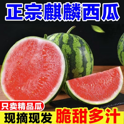 头茬麒麟西瓜新鲜当季水果摘8美都西瓜薄皮西瓜有籽无籽西瓜