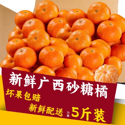广西正宗砂糖橘整箱包新鲜水果当季砂糖桔蜜橘桔子时令水果砂糖橘