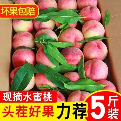 水蜜桃整箱10斤桃子水果新鲜应当季现摘孕妇水果脆甜毛桃5包邮（