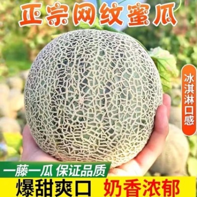 海南玫珑网纹蜜瓜超甜冰淇淋甜瓜香瓜哈密瓜应季水果有礼盒装