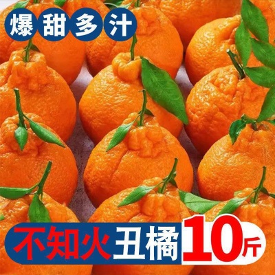 丑橘四川耙耙柑不知火新鲜水果桔子超甜粑粑柑非沃柑批发