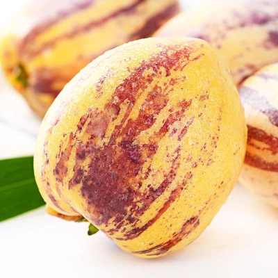 甘肃民勤沙漠人参果新鲜水果当季黄肉长果人生果整箱批发一件代发