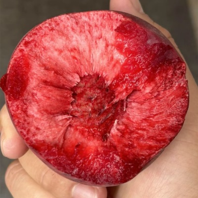 血桃稀有新鲜水果红肉桃子湖北毛桃现摘整箱当季孕妇脆桃非水蜜桃