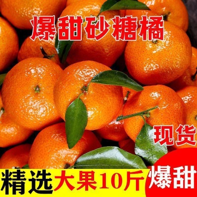 砂糖橘广西金秋薄皮当季新鲜孕妇水果整箱批发包邮独立站速卖通