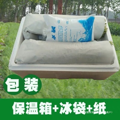现货 包邮山东茴香菜新鲜包邮鲜嫩小茴香苗不带根荤香菜鲜茴香4斤