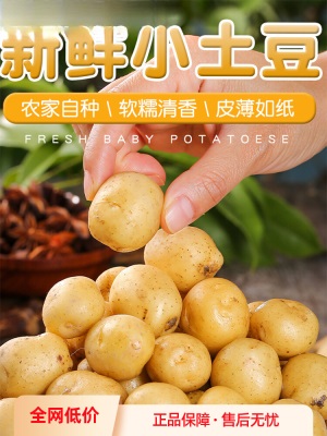 现挖恩施小土豆9斤现挖湖北新鲜黄心土豆当季蔬菜整箱迷你马铃薯