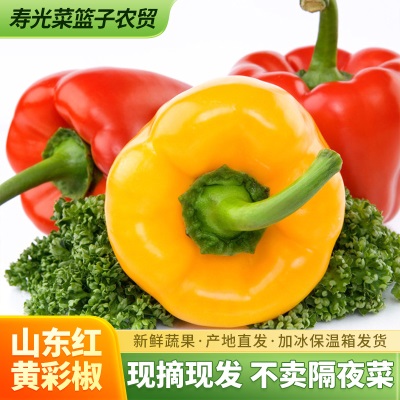 精品彩椒山东红黄彩椒甜椒五彩灯笼椒水果辣椒菜椒生吃