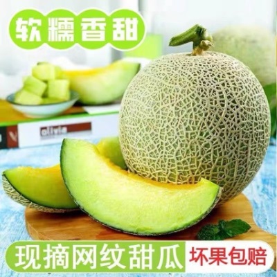 海南玫珑网纹蜜瓜超甜冰淇淋甜瓜香瓜哈密瓜应季水果有礼盒装