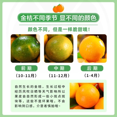 融安脆皮金桔5斤广西小橘子蜜金柑新鲜纯甜当季水果整箱礼盒