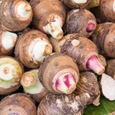 2025云南荔浦大芋头新鲜蔬粉香软糯荔浦新鲜芋头现挖大果产地直发