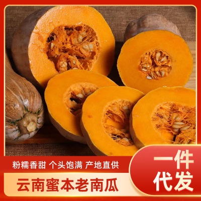 优质】云南当季新鲜老南瓜农家自种糯面甜宝宝辅食老品种密本南瓜