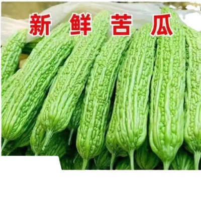 新鲜苦瓜5斤农家自种凉瓜苦瓜脆嫩营养蔬菜山东产地现摘现发当季