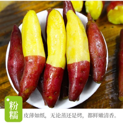 临安天目山小香薯正宗板栗红薯新鲜香甜农家小番薯地瓜蜜薯旗舰店