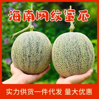 【普快】海南网纹瓜冰淇淋网纹密瓜新鲜摘应当季水果哈密整箱甜瓜