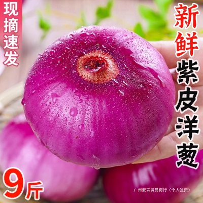 农家现挖水果洋葱5斤脆甜紫皮新鲜蔬菜圆葱头整箱包邮优普通洋葱