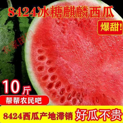 正宗超甜麒麟冰糖西瓜8424现摘薄皮无籽有籽美都批发新鲜西瓜水果