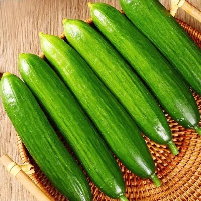 寿光蔬菜水果黄瓜生吃脆新鲜5斤青瓜荷兰当季无刺小黄瓜现摘包邮