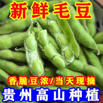 安徽新鲜毛豆现摘农家蔬菜带壳毛豆角绿豆荚大青豆嫩生豆水煮5斤