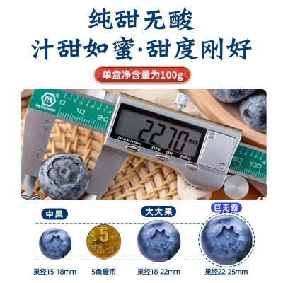 蓝莓鲜果云南花香蓝莓新鲜水果12盒特大果高山怡颗甜莓整箱顺丰