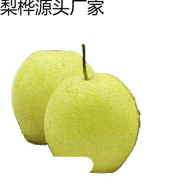 冰糖雪梨雪花梨当季新鲜水果梨子非皇冠梨鸭梨酥梨510斤包邮