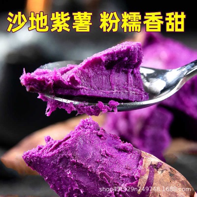 25年广西紫罗兰当季新鲜紫薯粉糯香甜农家自种沙地紫心红薯番薯仔