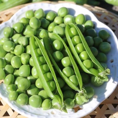 豌豆新鲜带壳云南云南高原长寿新鲜现摘露天甜脆水果蔬菜整箱
