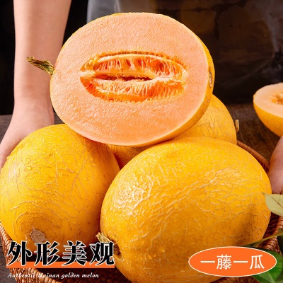 海南红金蜜黄金蜜瓜5斤包邮金红宝黄河蜜瓜黄哈密瓜新鲜当季水果