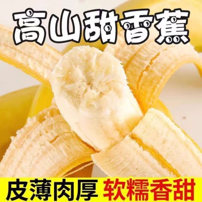 10大包邮芭蕉香蕉W又5香蕉整箱2好吃斤批高山当季新鲜水果香甜斤