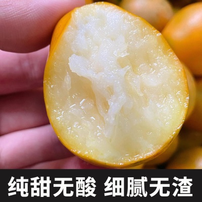 正宗广西融安脆蜜金桔第三鲜果大果新鲜脆蜜金柑应季水果礼盒装