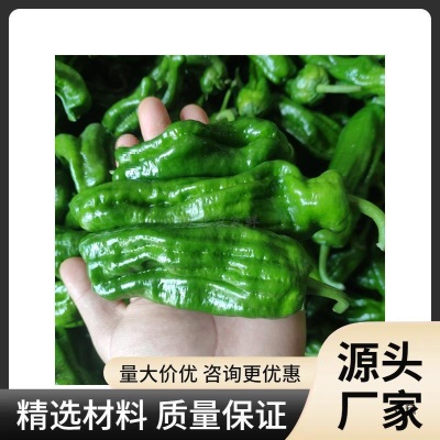 送礼农家自种新鲜薄皮青椒辣椒时令蔬菜现摘皱皮虎皮青椒微辣