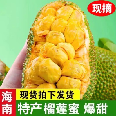 海南三亚榴莲蜜新鲜热带水果特产软糯香甜湿苞巴掌小榴莲整个菠萝