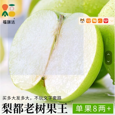 梨都砀山梨子正宗翠冠梨当季水果新鲜9斤皮青梨皇酥梨整箱应香梨