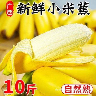 广西小米蕉香蕉10斤新鲜水果整箱当季鲜苹果蕉自然熟粉蕉包邮
