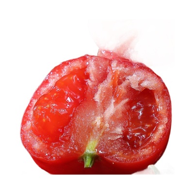 陕西普罗旺斯西红柿新鲜水果番茄现摘西红柿当季泾阳普罗旺斯番茄