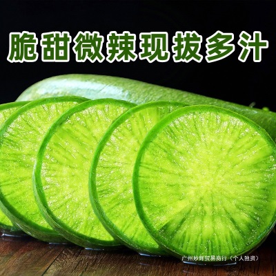 潍坊水果萝卜新鲜甜脆水果型10斤青冰淇淋凤梨生吃正宗青绿胡萝卜