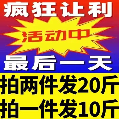 爆甜酥梨当季新鲜水果应季脆甜薄皮黄梨子批发整箱厂家直发跨境