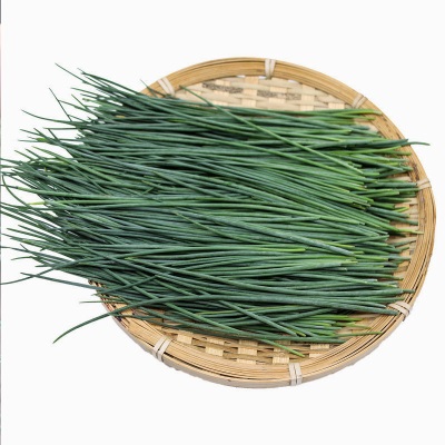 【顺丰快递】沙葱新鲜甘肃民勤特产现摘沙葱5斤新鲜蔬菜保温批发