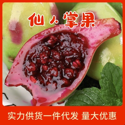 海南仙人掌热带水果果实 整箱南方野生果应当季罕见热带水果食用