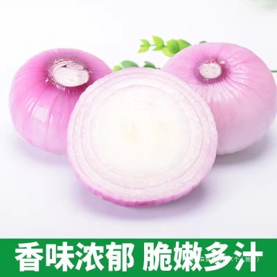 农家现挖水果洋葱5斤脆甜紫皮新鲜蔬菜圆葱头整箱包邮优普通洋葱