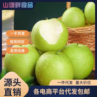 砀山青皇冠梨薄皮当季新鲜水果批发整箱脆甜可口多汁梨子一件代发
