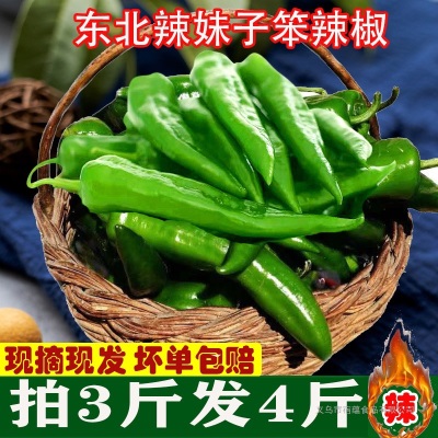 新鲜辣椒辣妹子剁椒超辣特辣薄皮辣椒笨辣椒青椒蔬菜非常辣