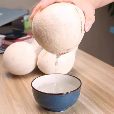 海南牛奶椰皇水果新鲜椰青当季现摘椰白孕妇补羊水小奶椰子蛋整箱
