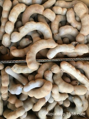 批发20斤新鲜带壳水果甜角甜酸角果铺蜜饯零食罗望子电商直发