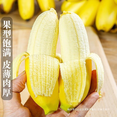 广西小米蕉香蕉10斤新鲜水果整箱当季鲜苹果蕉自然熟粉蕉包邮