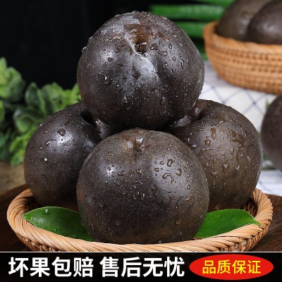 高原大黑梨藏乌梨新鲜梨子当季四川高山脆甜黑皮梨子孕妇水果整箱