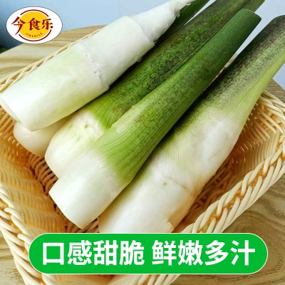【现摘现发】云南新鲜高山茭白当季农家蔬菜茭瓜月子农家自种