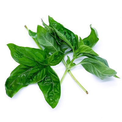 新鲜罗勒叶100g 西餐食用披萨草意大利面调料香料青酱蔬菜