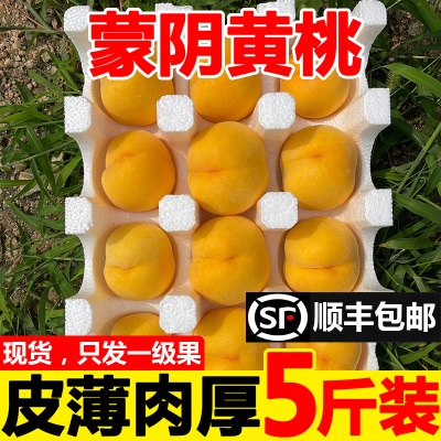 黄桃新鲜水果应当季时令脆毛鲜甜黄金蜜桃大桃子5斤整箱锦绣现摘