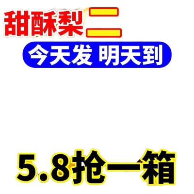 爆甜酥梨当季新鲜水果应季脆甜薄皮黄梨子批发整箱厂家直发跨境